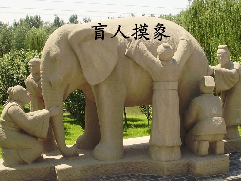 瞎子摸象图_瞎子摸象游戏的意义_瞎子摸象意思是什么