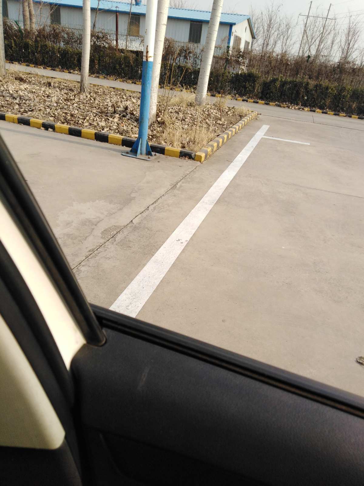 电脑游戏打僵尸的那个什么游戏_僵尸电脑打游戏怎么样_打僵尸的游戏电脑