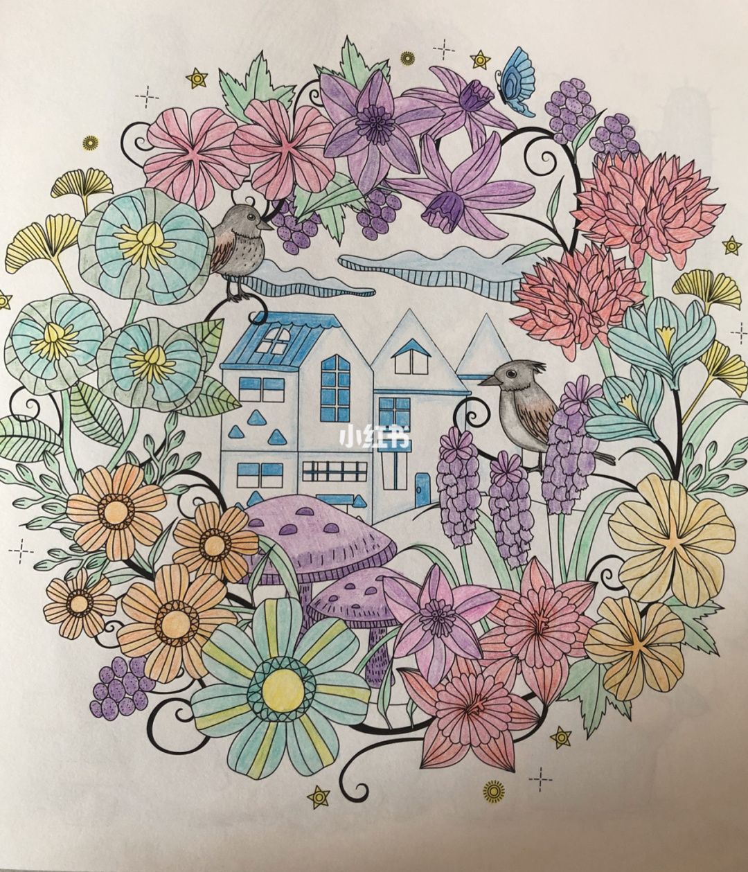 花园涂色游戏图片_涂色花园游戏_花园涂色游戏怎么玩