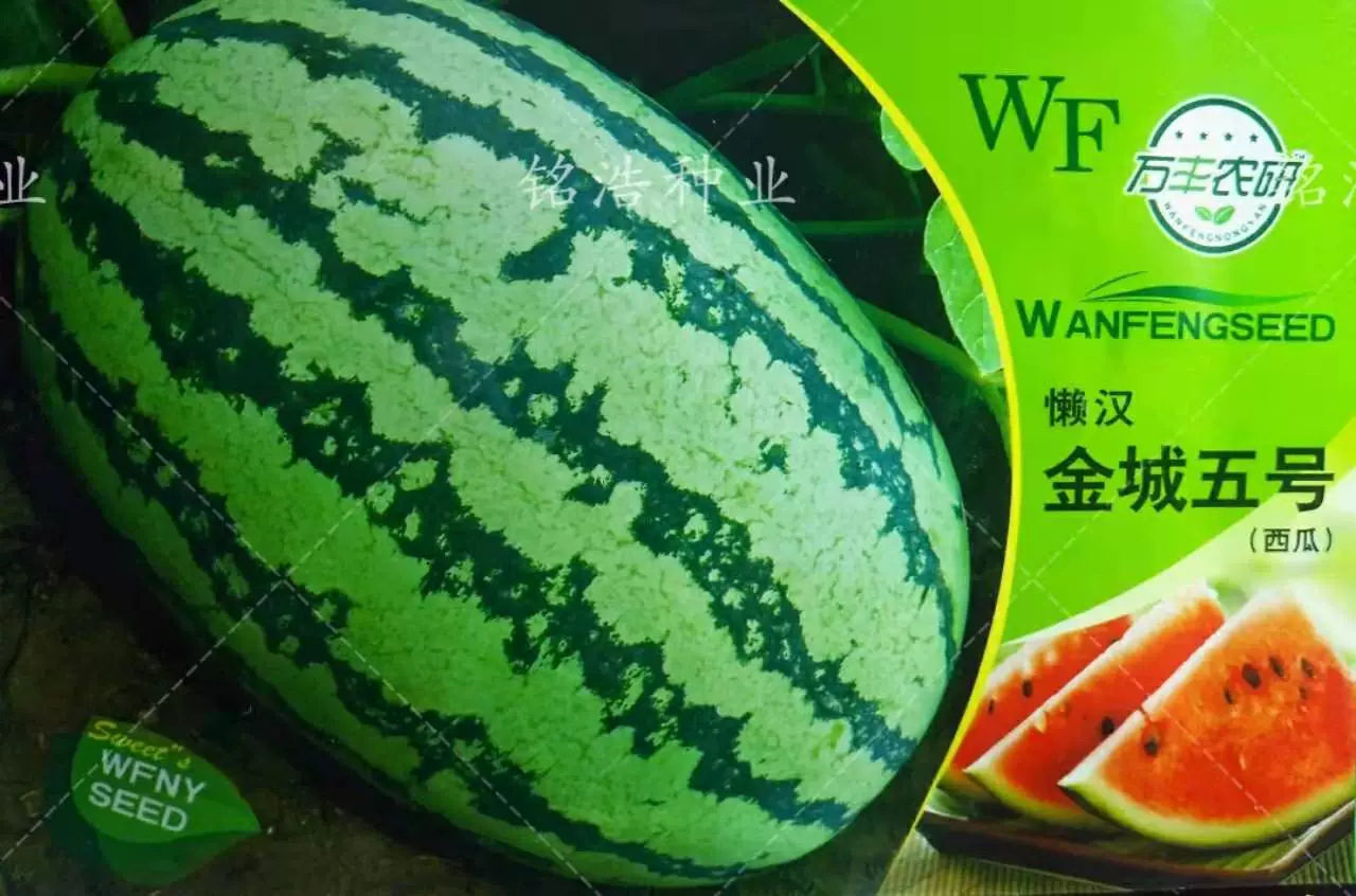 好玩农场游戏手机版_好玩农场游戏_好玩农场游戏破解版