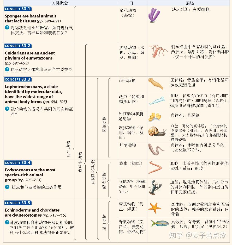 国王游戏起源_龙腾世纪起源开始游戏杂音_物种起源游戏