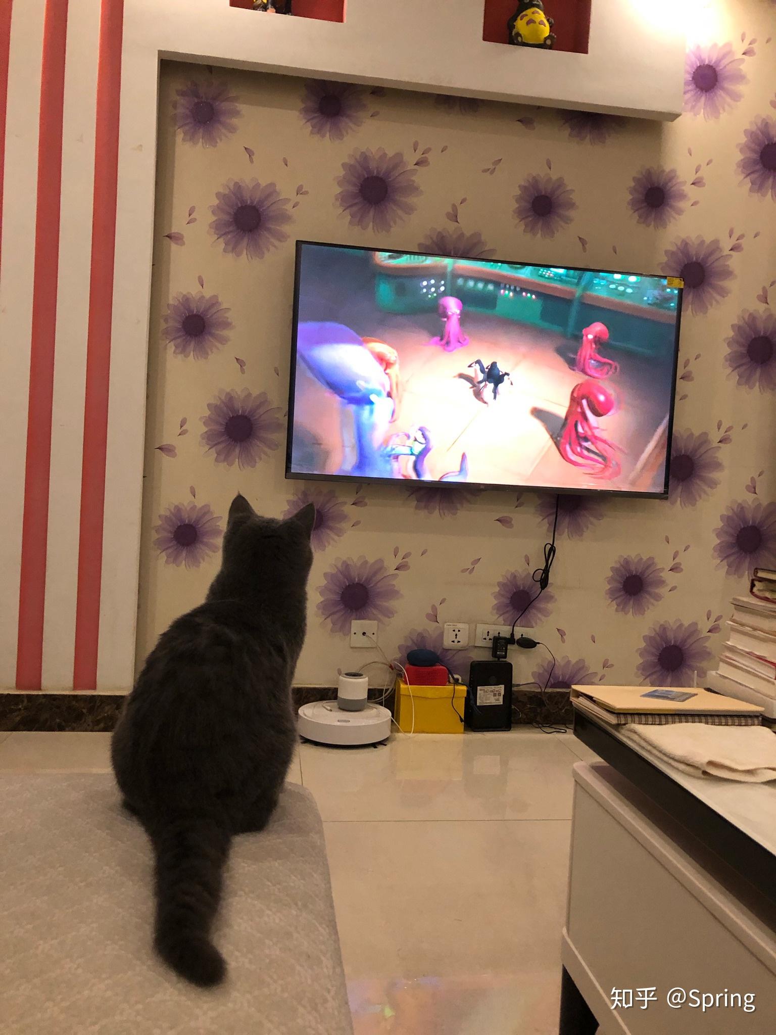 快猫免费下载_我的汤姆猫免费下载_编程猫免费下载