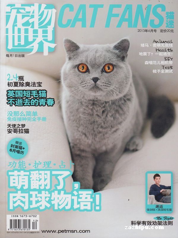 杂志迷app：开发者独家揭秘，畅享千本杂志阅读平台