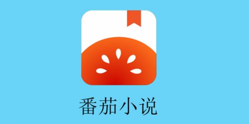 番茄免费小说：专注于提供各类精彩小说资源的阅读应用