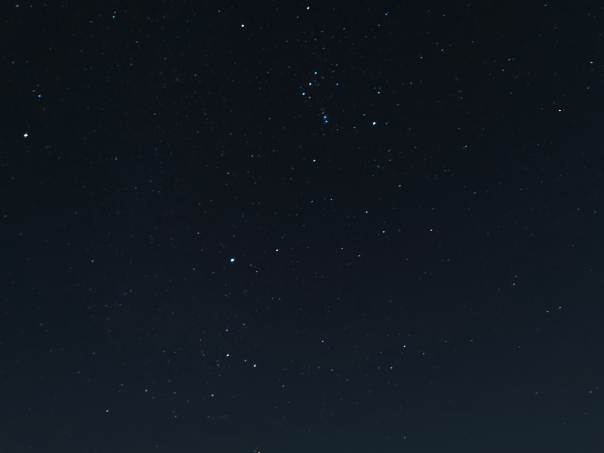 夜间下载软件安全吗_夜间下载券_夜间十大app下载