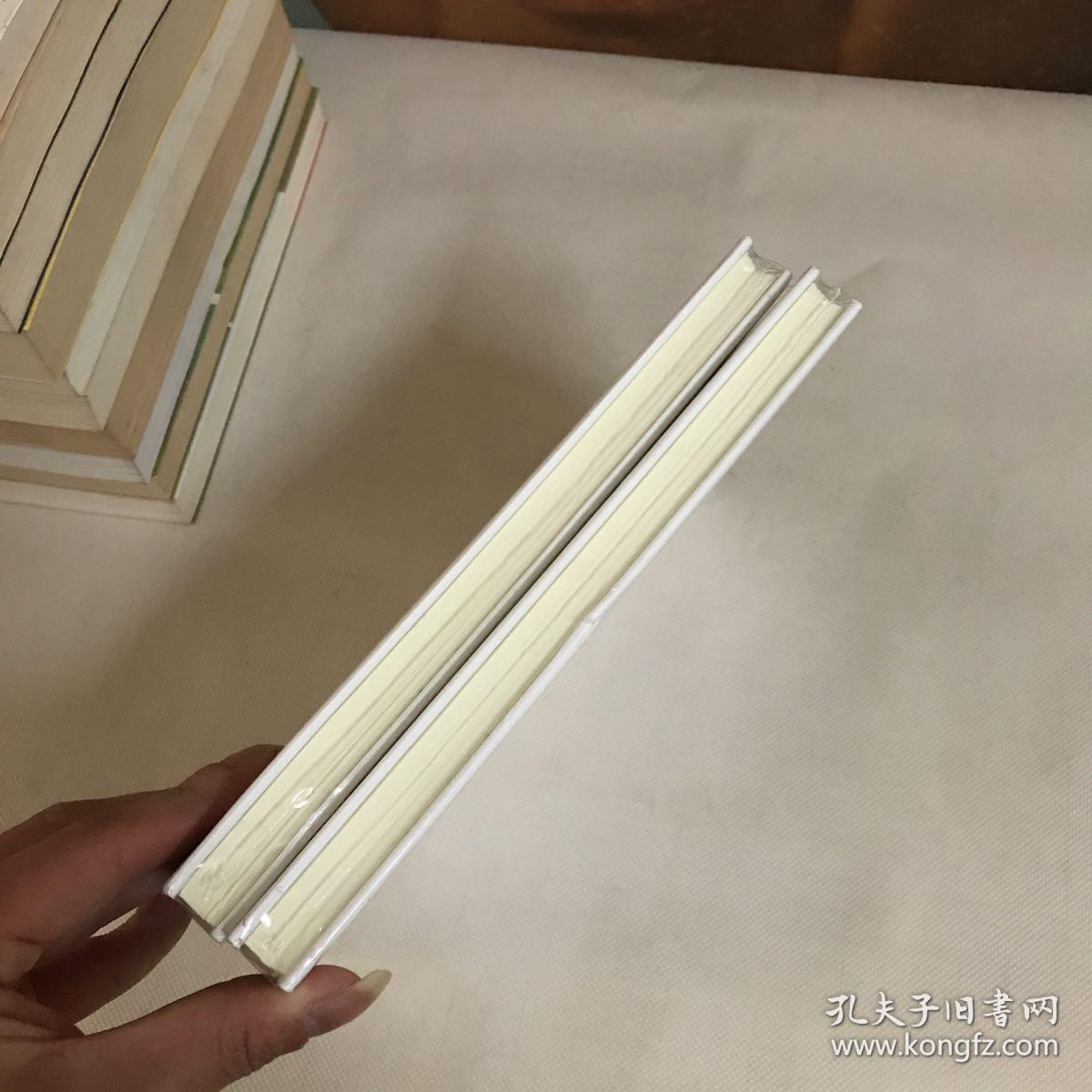 攻略极品_极品攻略计划_鼠鼠攻速大极品攻略