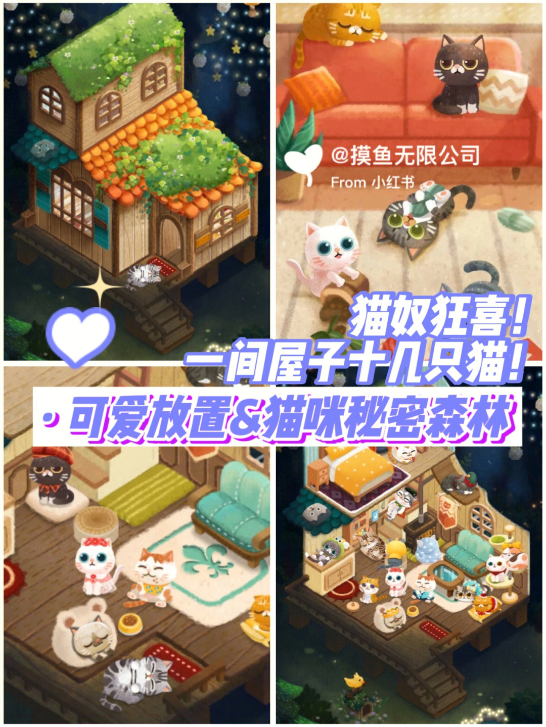 喵子小屋吧_喵子小屋cat_喵子小屋