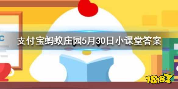 谜语棉花糖_棉花糖机蚂蚁庄园_蚂蚁庄园棉花是植物花吗