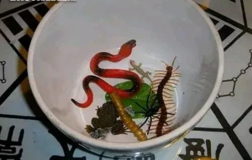 蛊养之法_蛊养在眼睛里_怎么养蛊