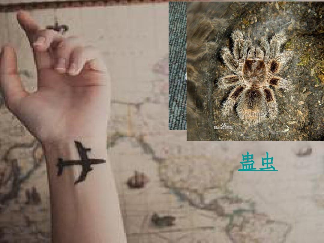 蛊养在眼睛里_蛊养之法_怎么养蛊