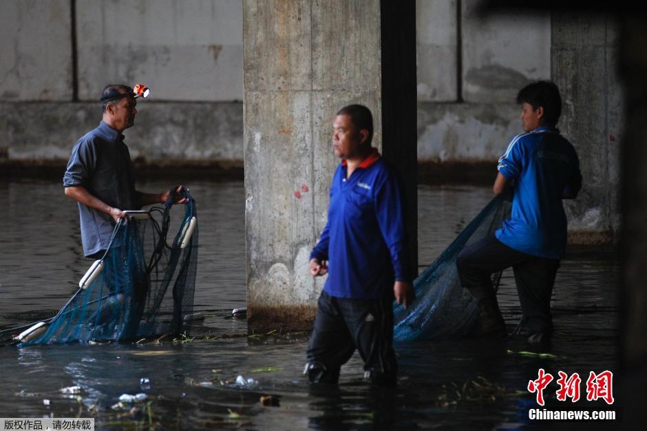 炸鱼塘是什么_炸鱼塘是什么意思_炸鱼塘是什么意思梗