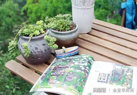 原花色素是什么_原色堂图文广告_原色花堂