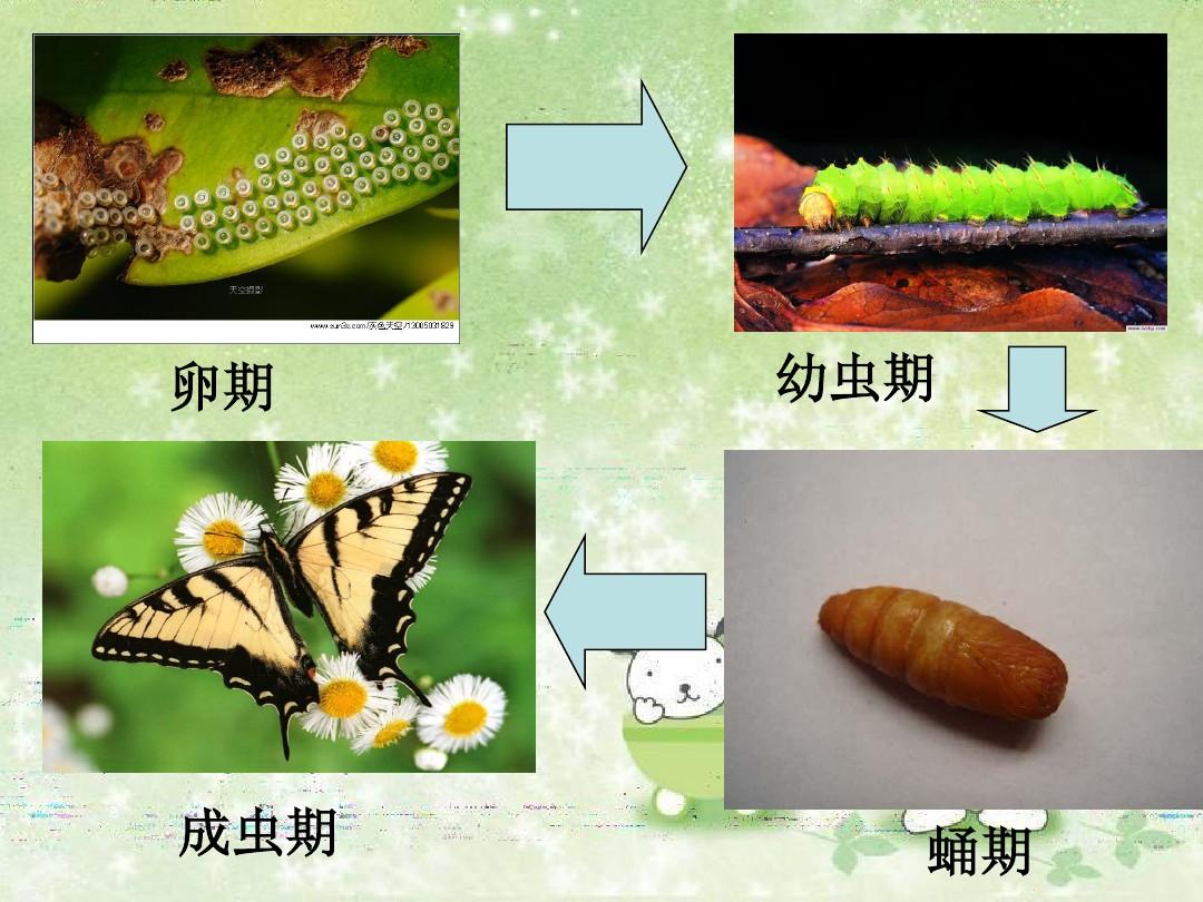 过程的意思是_过程是什么意思_过程是什么词类