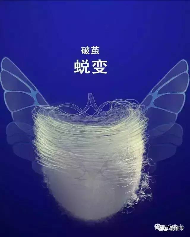 过程是什么词类_过程是什么意思_过程的意思是
