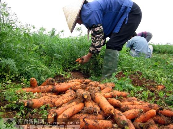 农场拖拉机2014游戏_拖拉机农场游戏下载手机版_农场拖拉机16下载