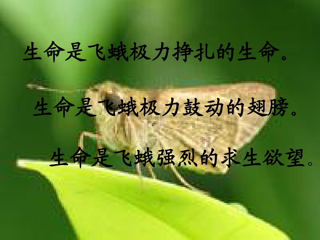 虫之歌_虫歌词_陈奕迅蝗虫歌