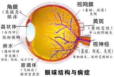 玩手机伤眼睛怎么恢复_玩游戏的手机对眼睛的伤害_眼睛玩手机会瞎吗