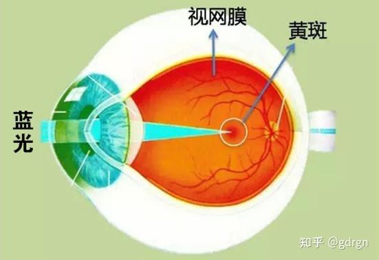 玩游戏的手机对眼睛的伤害_眼睛玩手机会瞎吗_玩手机伤眼睛怎么恢复