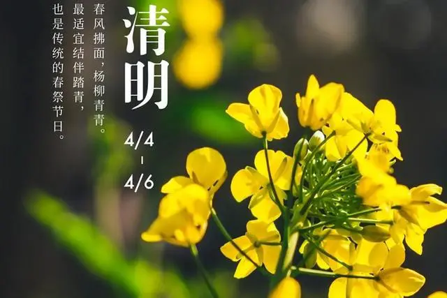 2024年2月有多少天_2024年2月有多少天_2024年2月有多少天