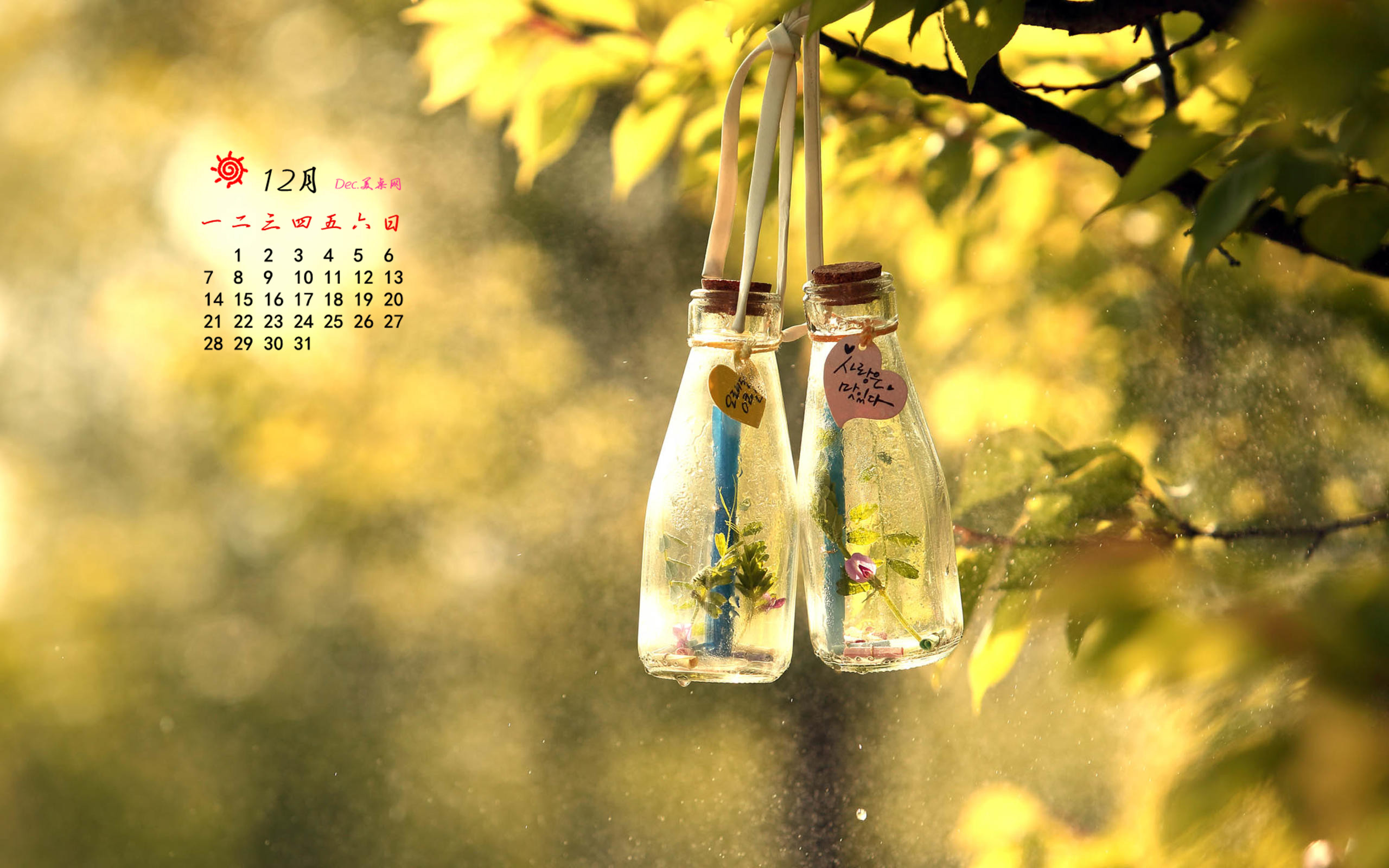 哪些年是闰月年_2012年12月3日_德国日期怎么看日月年