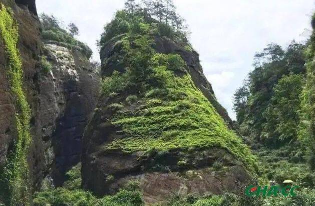 手机找鬼游戏_找鬼的游戏叫什么_鬼的手机游戏