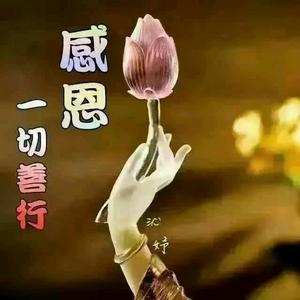 看手机玩游戏_消消看手机游戏_手机玩游戏会怎么样