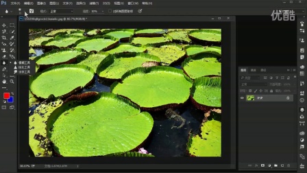 ps油漆桶在哪-Photoshop 油漆桶工具找不到？别急，