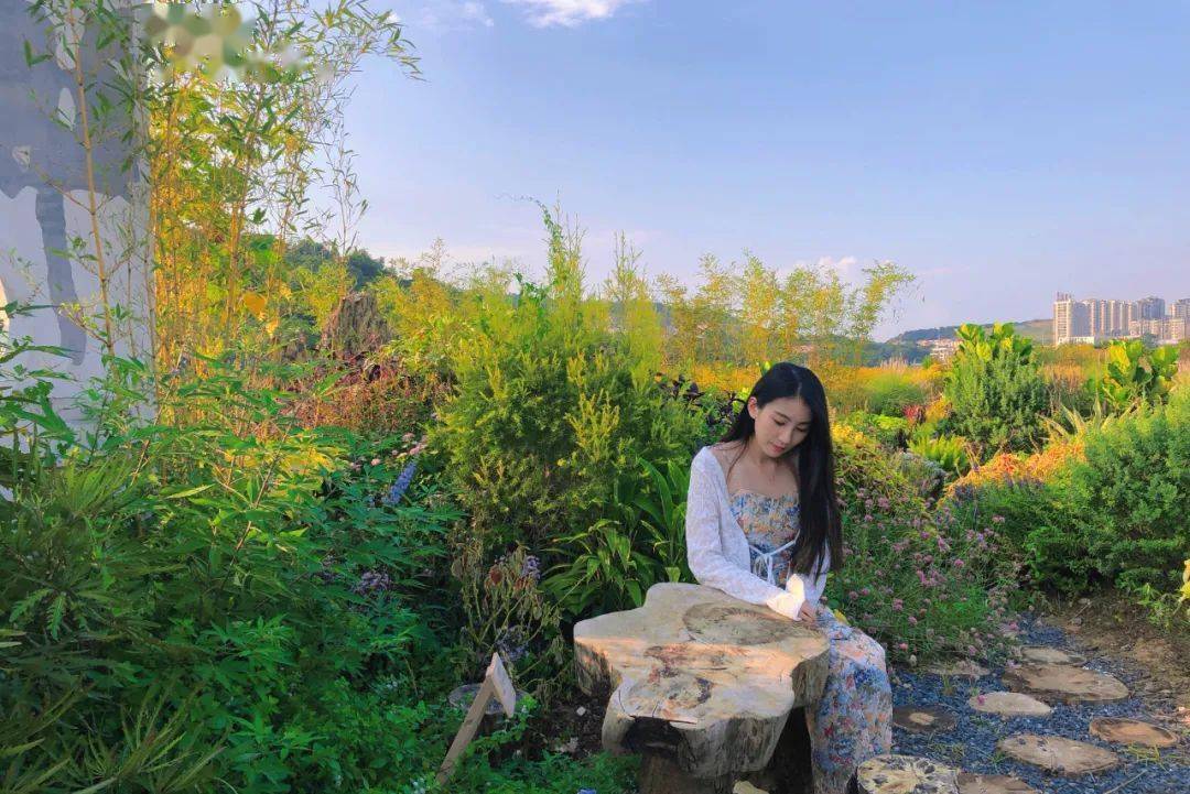 天结手机游戏-天结：角色扮演与策略元素结合的唯美手机游戏，带