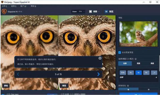 wps图片显示不全怎么办_wps图片显示图片错误_wps图片显示