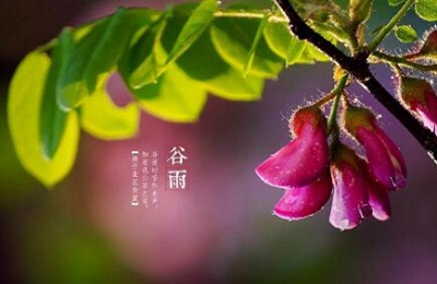 谷雨2021年几月几号_2021年谷雨是农历几月几日_2023年谷雨是几月几日