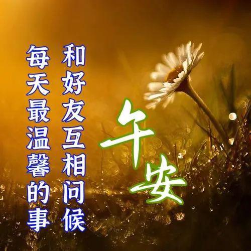 藤原可可亚_藤原亚可可死_可可亚是什么