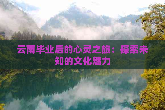 插画手机游戏软件_插画手机游戏有哪些_游戏手机插画