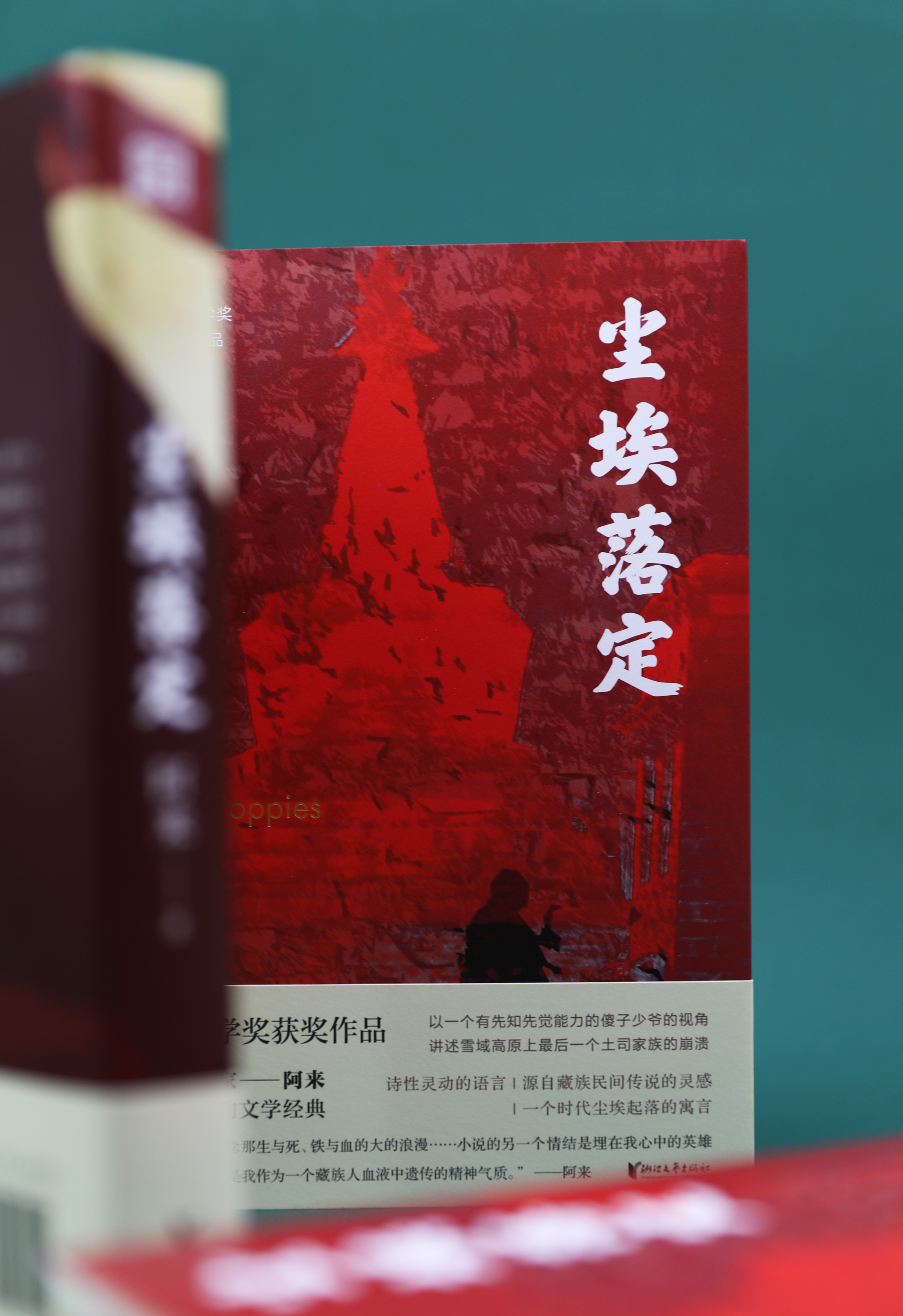 香港仔_仔香港意思_仔香港话