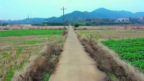过年歌谣_过年歌儿歌_过年的歌
