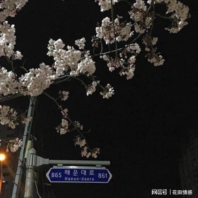 月年2023年_月日年还是日月年_2021年4月29日