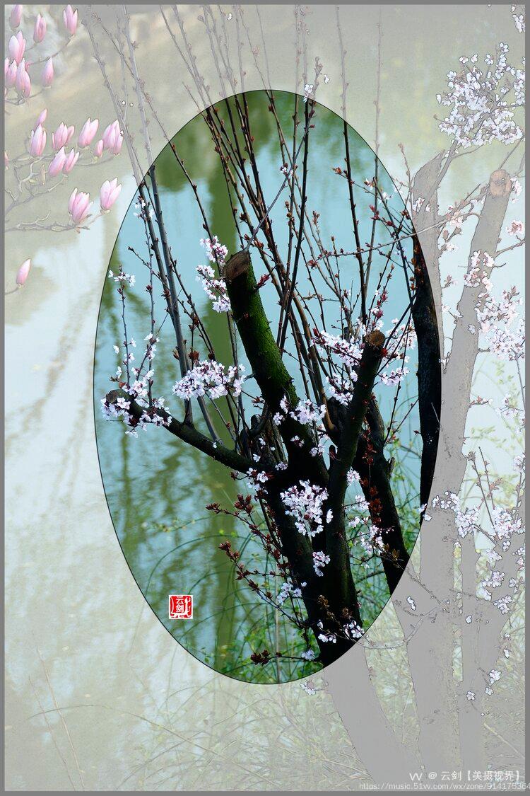 杏冲动_杏冲动_杏冲动