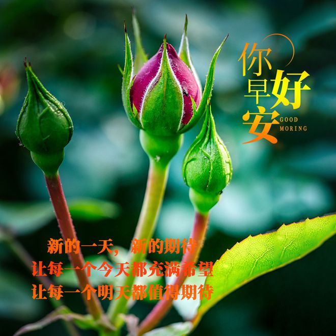 节日在大月的是_节月是什么意思_11月3日是什么节日