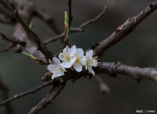 音花缘护肤品好用吗_花音_音花校园模拟器