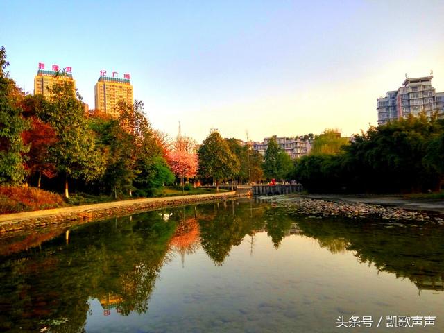 凯申物流是什么梗_凯申物流誉满全球小说_凯申物流表情包