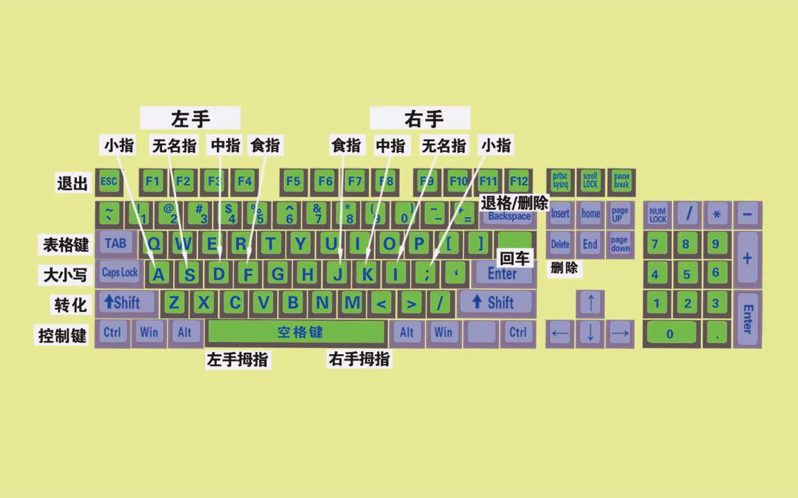 打字手法的正确姿势_姿势打字手法正确视频_打字姿势口诀