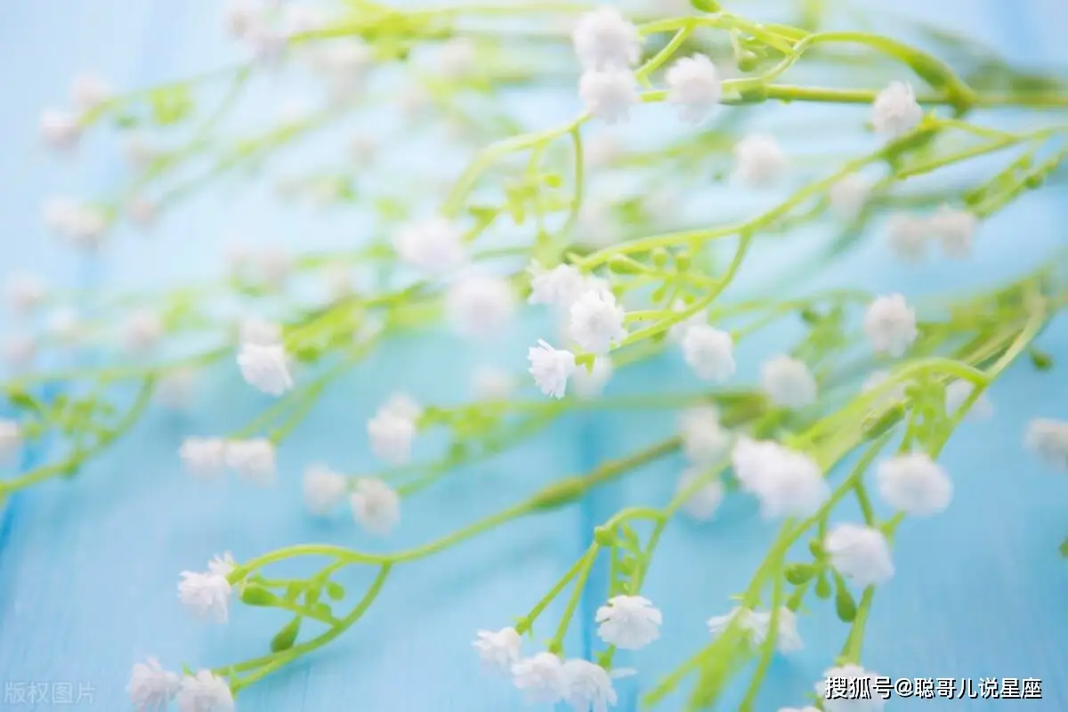 袋蛋仔派对_蛋袋_袋蛋怎么做