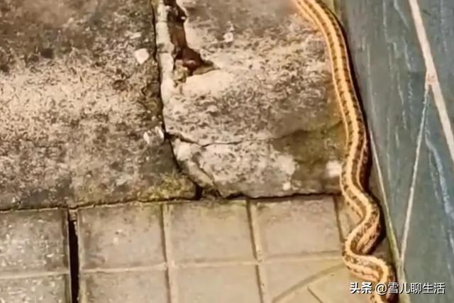 苹果7p充满电要多久_苹果充电要充满100吗_iphone充满电需要几度电