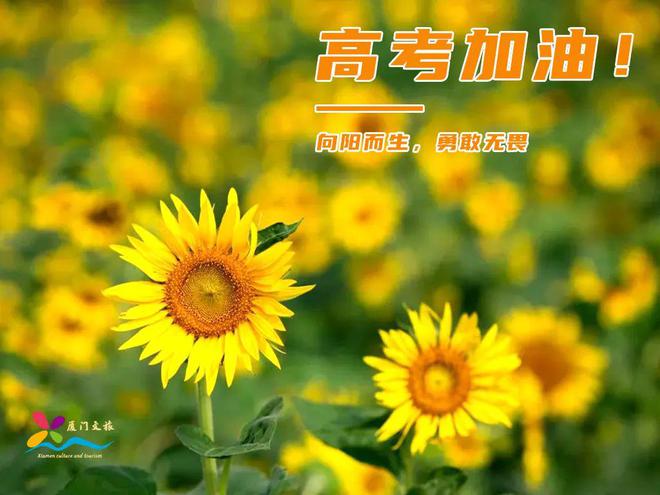 宫本彩希：一个名字背后的青春无悔与勇往直前