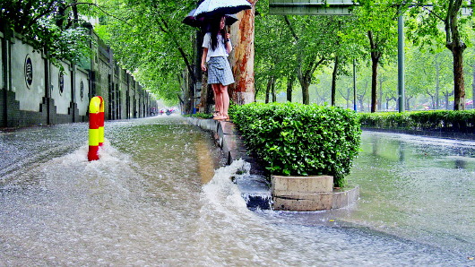 雨季不在来_雨季燕窝和旱季燕窝有什么区别_雨季