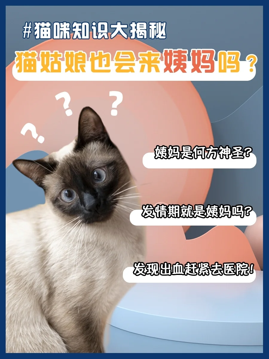 一拳超人手机游戏抽奖活动_超级抽奖人生_一拳超人抽奖模拟器下载