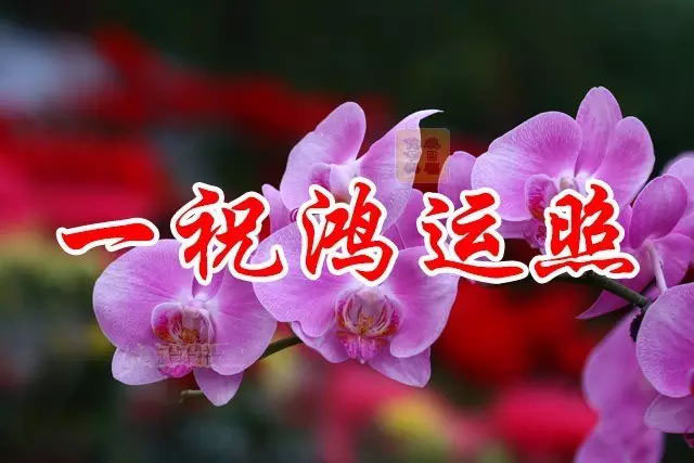 哪些年是闰月年_2008年1月10日_2025年是不是闰月年