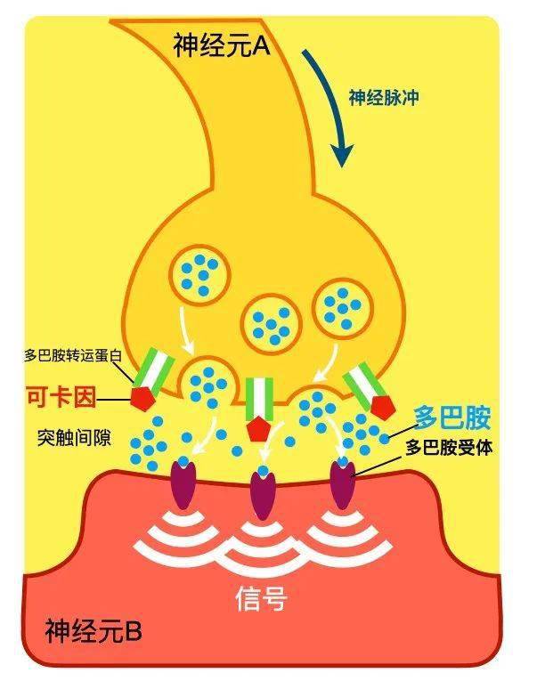 小议手机游戏危害_危害手机游戏小议论文_手机游戏危害大日记