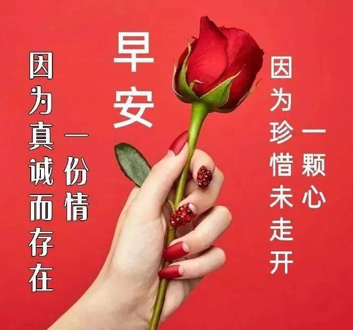 願い_愿得一人心歌词_愿做菩萨那朵莲