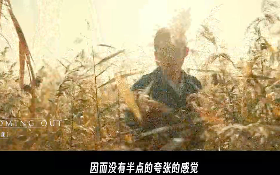 拐骗的电影_偷抢拐骗结局_偷拐抢骗电影