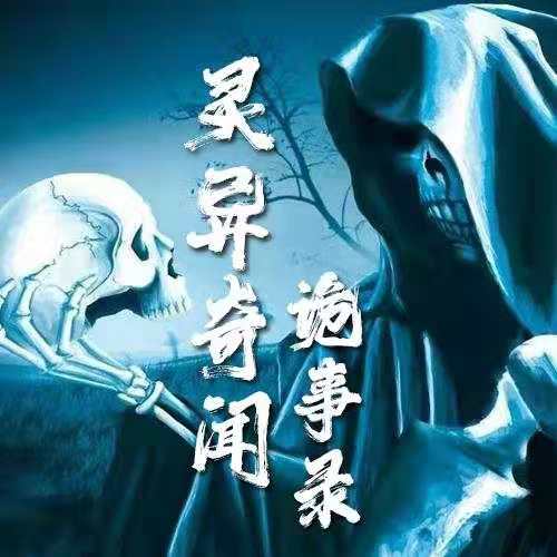 尾随3手机游戏下载_尾随类手机游戏_尾随汉化安卓版下载